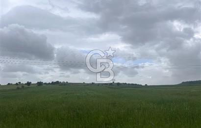 BALIKESİR KARESİ NAİPLİ'DE YOLA CEPHE, EMSALSİZ TARLA! 21.330 m2