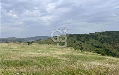 BALIKESİR ALTIEYLÜL AYVATLAR'DA MUHTEŞEM MANZARALI TARLA! 8563m2