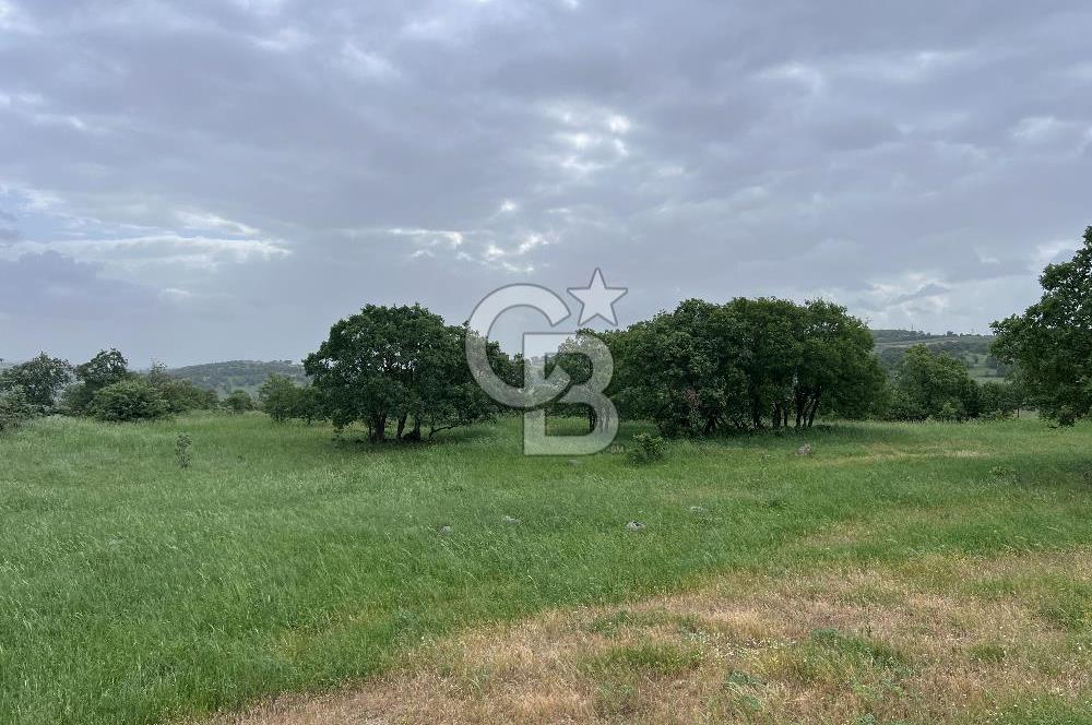 BALIKESİR İVRİNDİ GÖKÇEYAZI'DA HARİKA LOKASYONDA TARLA! 15.950m2