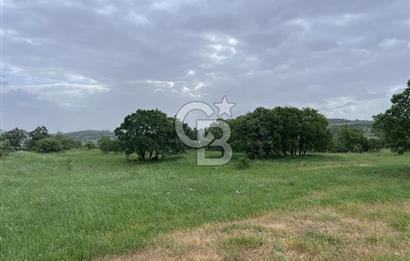 BALIKESİR İVRİNDİ GÖKÇEYAZI'DA HARİKA LOKASYONDA TARLA! 15.950m2