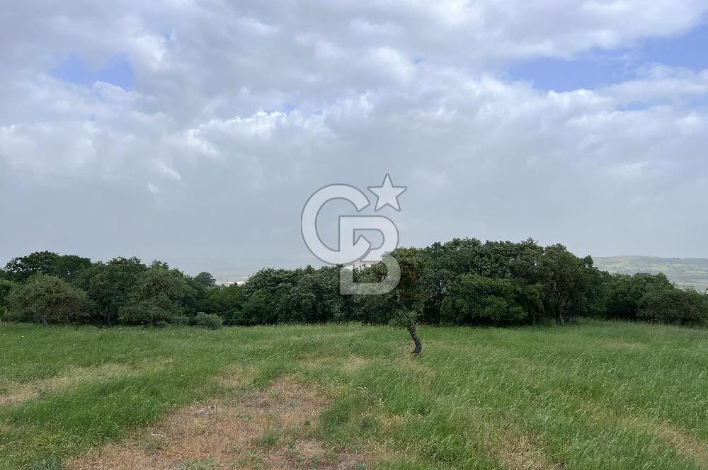 BALIKESİR İVRİNDİ GÖKÇEYAZI'DA HARİKA LOKASYONDA TARLA! 15.950m2