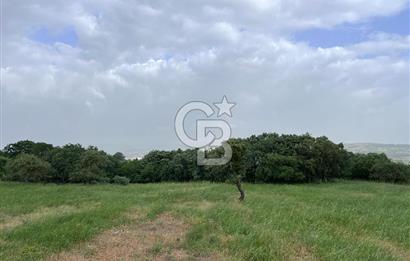 BALIKESİR İVRİNDİ GÖKÇEYAZI'DA HARİKA LOKASYONDA TARLA! 15.950m2