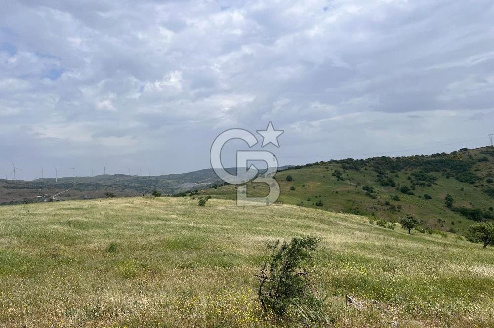 BALIKESİR ALTIEYLÜL AYVATLAR'DA MUHTEŞEM MANZARALI TARLA! 8563m2