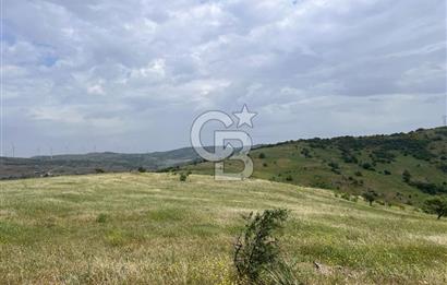 BALIKESİR ALTIEYLÜL AYVATLAR'DA MUHTEŞEM MANZARALI TARLA! 8563m2