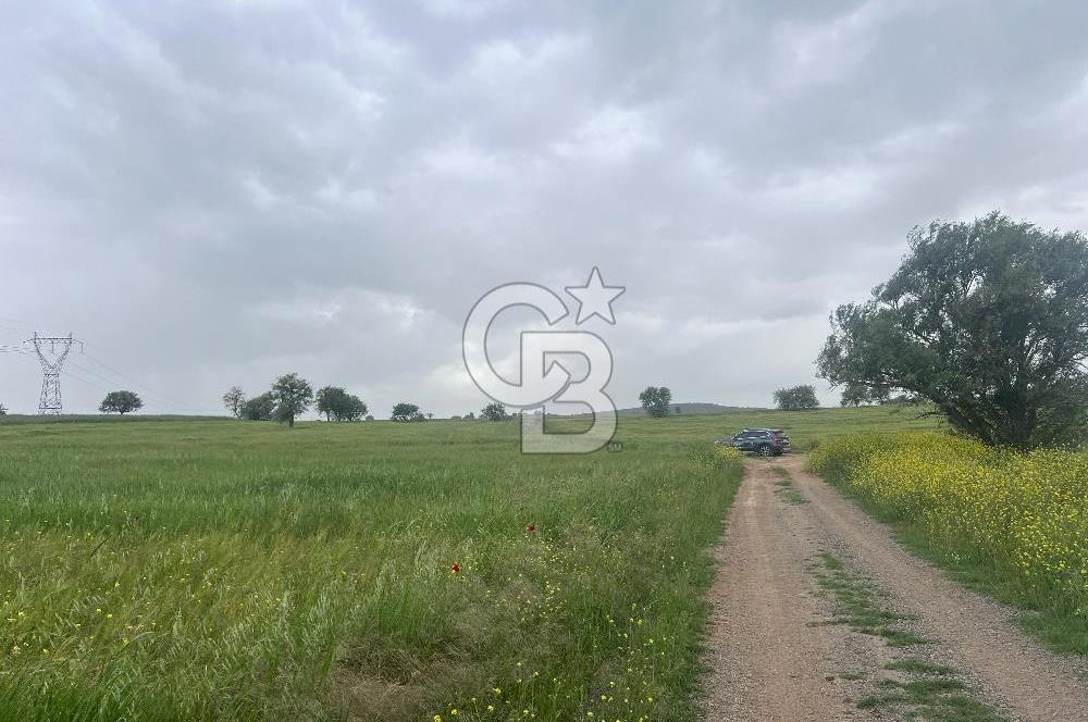 BALIKESİR KARESİ NAİPLİ'DE YOLA CEPHE, EMSALSİZ TARLA! 21.330 m2