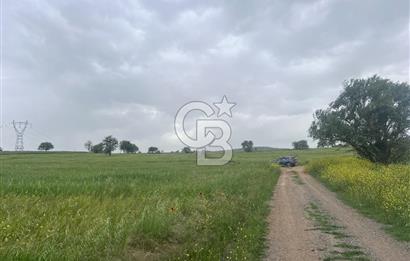 BALIKESİR KARESİ NAİPLİ'DE YOLA CEPHE, EMSALSİZ TARLA! 21.330 m2