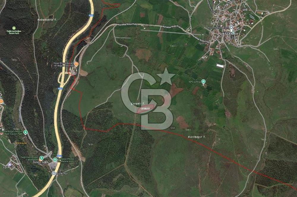 BALIKESİR ALTIEYLÜL AYVATLAR'DA MUHTEŞEM MANZARALI TARLA! 8563m2