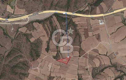 BALIKESİR ALTIEYLÜL DEREKÖY'DE KADASTRO YOLU OLAN TARLA! 7.593M2