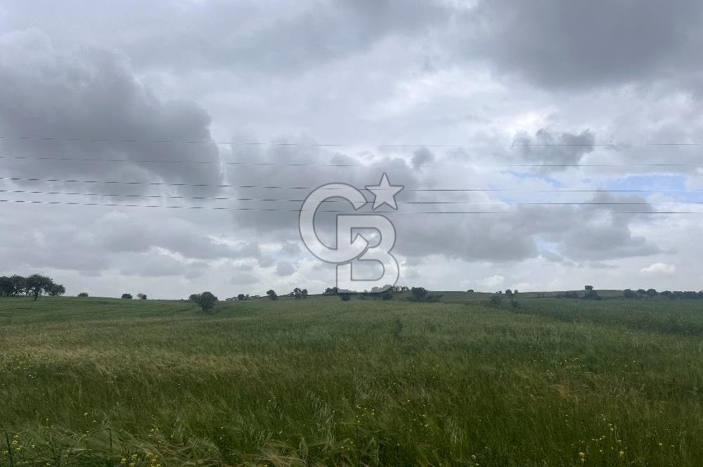 BALIKESİR KARESİ NAİPLİ'DE YOLA CEPHE, EMSALSİZ TARLA! 21.330 m2