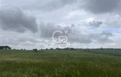 BALIKESİR KARESİ NAİPLİ'DE YOLA CEPHE, EMSALSİZ TARLA! 21.330 m2