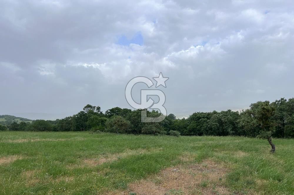 BALIKESİR İVRİNDİ GÖKÇEYAZI'DA HARİKA LOKASYONDA TARLA! 15.950m2
