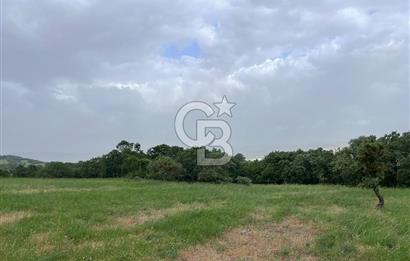 BALIKESİR İVRİNDİ GÖKÇEYAZI'DA HARİKA LOKASYONDA TARLA! 15.950m2