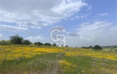 BALIKESİR ALTIEYLÜL DEREKÖY'DE KADASTRO YOLU OLAN TARLA! 7.593M2