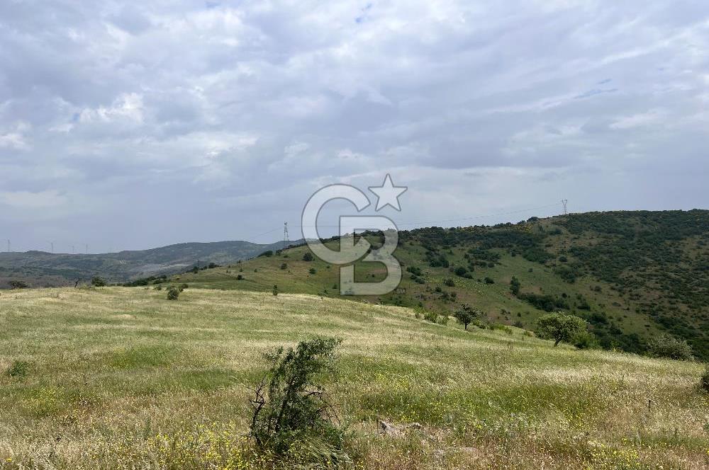 BALIKESİR ALTIEYLÜL AYVATLAR'DA MUHTEŞEM MANZARALI TARLA! 8563m2
