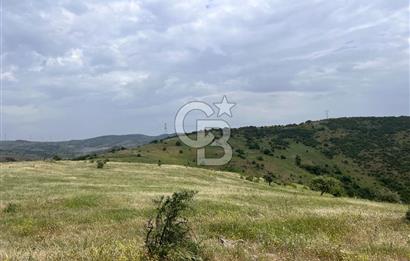 BALIKESİR ALTIEYLÜL AYVATLAR'DA MUHTEŞEM MANZARALI TARLA! 8563m2