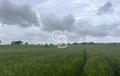 BALIKESİR KARESİ NAİPLİ'DE YOLA CEPHE, EMSALSİZ TARLA! 21.330 m2
