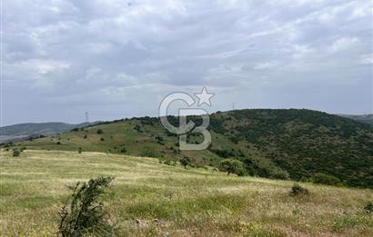 BALIKESİR ALTIEYLÜL AYVATLAR'DA MUHTEŞEM MANZARALI TARLA! 8563m2