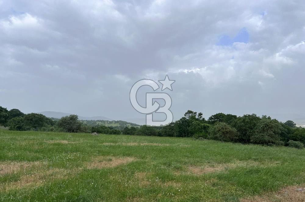 BALIKESİR İVRİNDİ GÖKÇEYAZI'DA HARİKA LOKASYONDA TARLA! 15.950m2