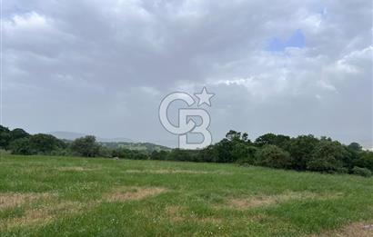 BALIKESİR İVRİNDİ GÖKÇEYAZI'DA HARİKA LOKASYONDA TARLA! 15.950m2