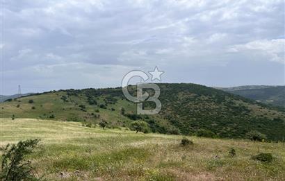 BALIKESİR ALTIEYLÜL AYVATLAR'DA MUHTEŞEM MANZARALI TARLA! 8563m2