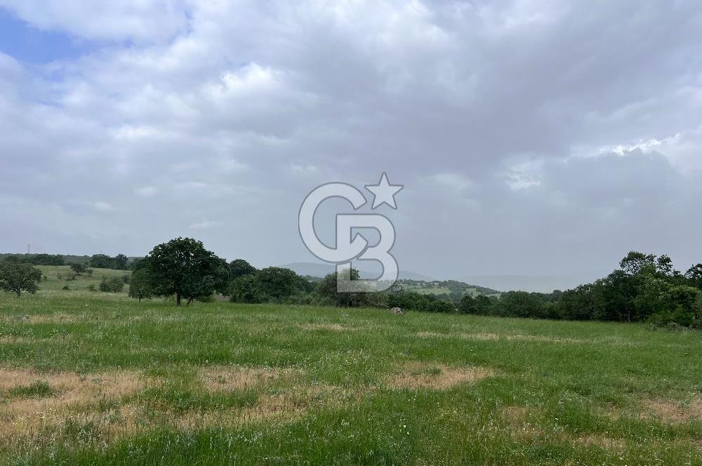 BALIKESİR İVRİNDİ GÖKÇEYAZI'DA HARİKA LOKASYONDA TARLA! 15.950m2