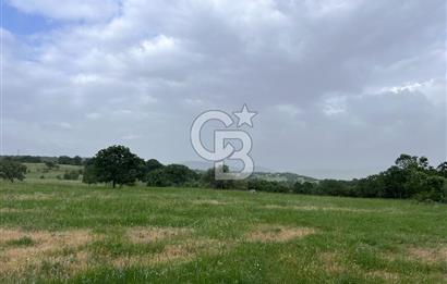 BALIKESİR İVRİNDİ GÖKÇEYAZI'DA HARİKA LOKASYONDA TARLA! 15.950m2