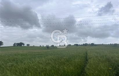 BALIKESİR KARESİ NAİPLİ'DE YOLA CEPHE, EMSALSİZ TARLA! 21.330 m2