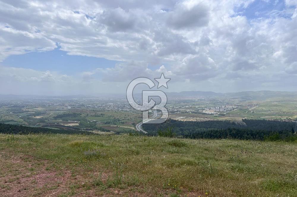 BALIKESİR ALTIEYLÜL AYVATLAR'DA MUHTEŞEM MANZARALI TARLA! 8563m2