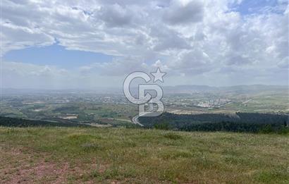 BALIKESİR ALTIEYLÜL AYVATLAR'DA MUHTEŞEM MANZARALI TARLA! 8563m2