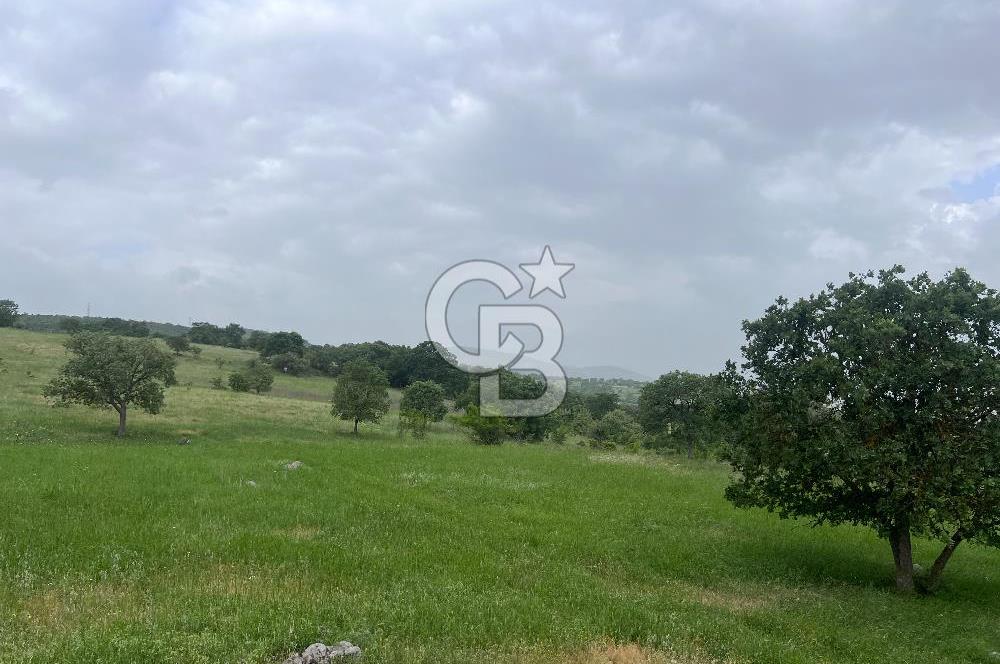 BALIKESİR İVRİNDİ GÖKÇEYAZI'DA HARİKA LOKASYONDA TARLA! 15.950m2