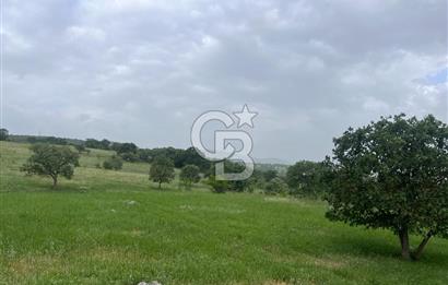 BALIKESİR İVRİNDİ GÖKÇEYAZI'DA HARİKA LOKASYONDA TARLA! 15.950m2