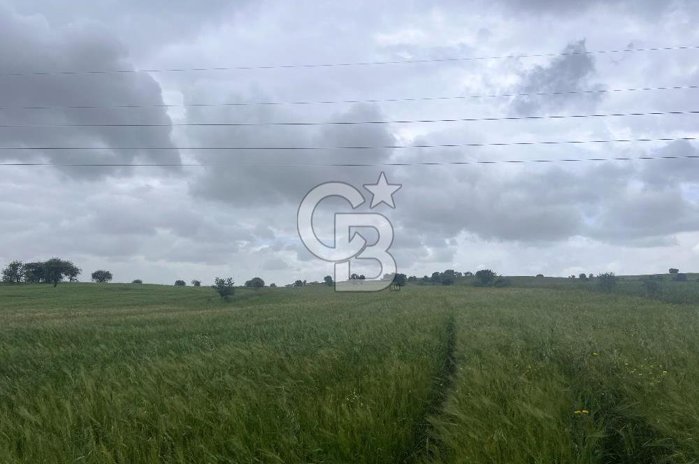 BALIKESİR KARESİ NAİPLİ'DE YOLA CEPHE, EMSALSİZ TARLA! 21.330 m2