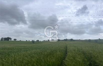BALIKESİR KARESİ NAİPLİ'DE YOLA CEPHE, EMSALSİZ TARLA! 21.330 m2