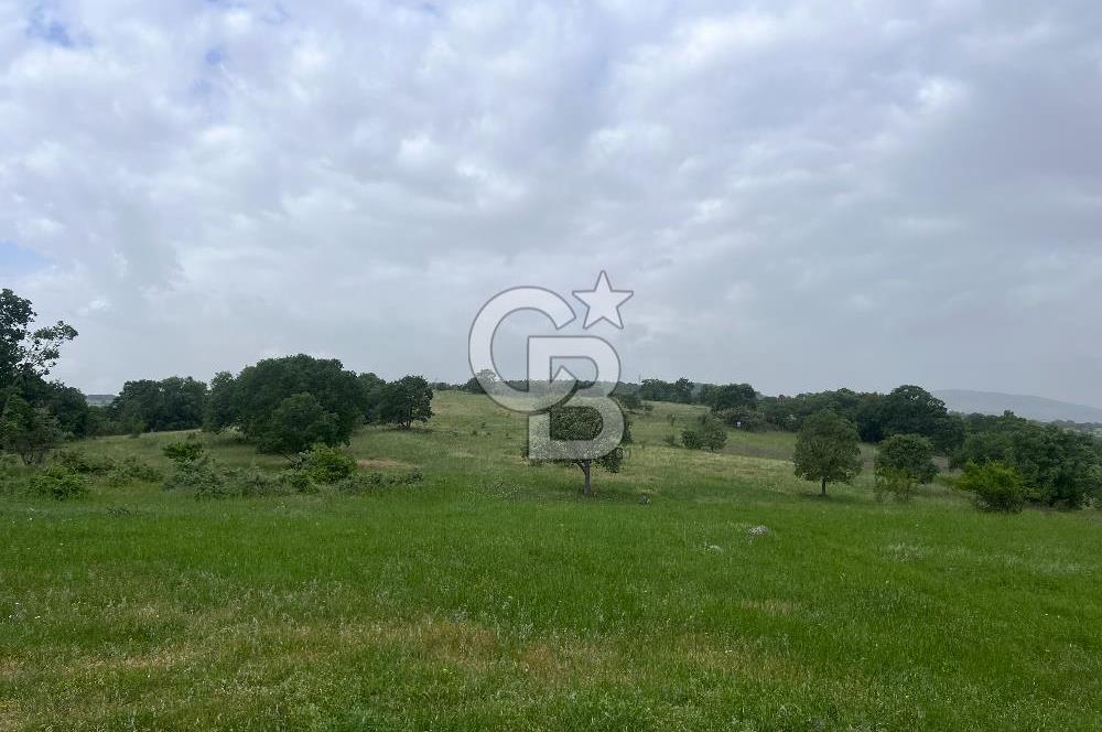 BALIKESİR İVRİNDİ GÖKÇEYAZI'DA HARİKA LOKASYONDA TARLA! 15.950m2