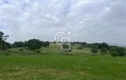 BALIKESİR İVRİNDİ GÖKÇEYAZI'DA HARİKA LOKASYONDA TARLA! 15.950m2