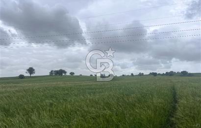 BALIKESİR KARESİ NAİPLİ'DE YOLA CEPHE, EMSALSİZ TARLA! 21.330 m2