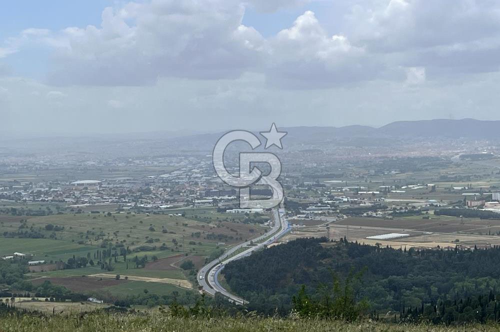 BALIKESİR ALTIEYLÜL AYVATLAR'DA MUHTEŞEM MANZARALI TARLA! 8563m2