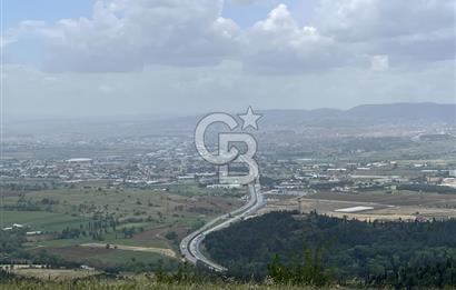 BALIKESİR ALTIEYLÜL AYVATLAR'DA MUHTEŞEM MANZARALI TARLA! 8563m2