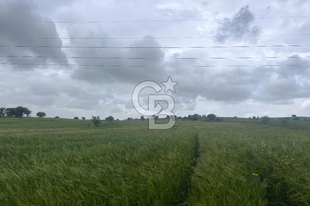 BALIKESİR KARESİ NAİPLİ'DE YOLA CEPHE, EMSALSİZ TARLA! 21.330 m2