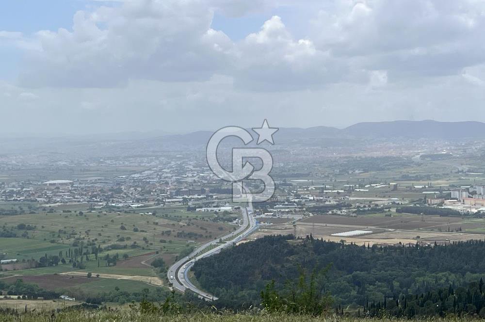 BALIKESİR ALTIEYLÜL AYVATLAR'DA MUHTEŞEM MANZARALI TARLA! 8563m2