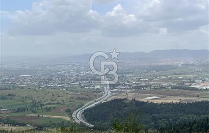 BALIKESİR ALTIEYLÜL AYVATLAR'DA MUHTEŞEM MANZARALI TARLA! 8563m2