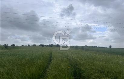 BALIKESİR KARESİ NAİPLİ'DE YOLA CEPHE, EMSALSİZ TARLA! 21.330 m2