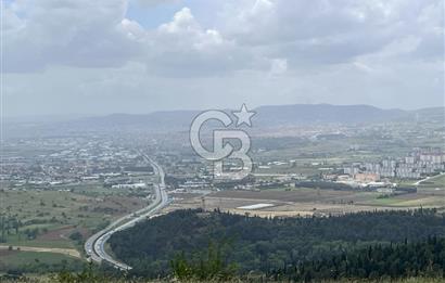 BALIKESİR ALTIEYLÜL AYVATLAR'DA MUHTEŞEM MANZARALI TARLA! 8563m2