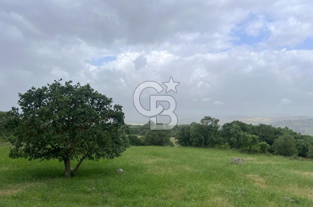 BALIKESİR İVRİNDİ GÖKÇEYAZI'DA HARİKA LOKASYONDA TARLA! 15.950m2