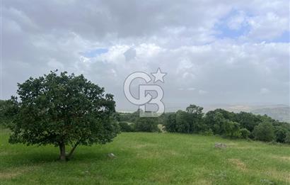 BALIKESİR İVRİNDİ GÖKÇEYAZI'DA HARİKA LOKASYONDA TARLA! 15.950m2