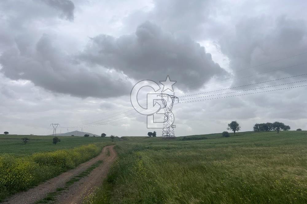 BALIKESİR KARESİ NAİPLİ'DE YOLA CEPHE, EMSALSİZ TARLA! 21.330 m2