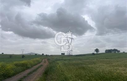 BALIKESİR KARESİ NAİPLİ'DE YOLA CEPHE, EMSALSİZ TARLA! 21.330 m2