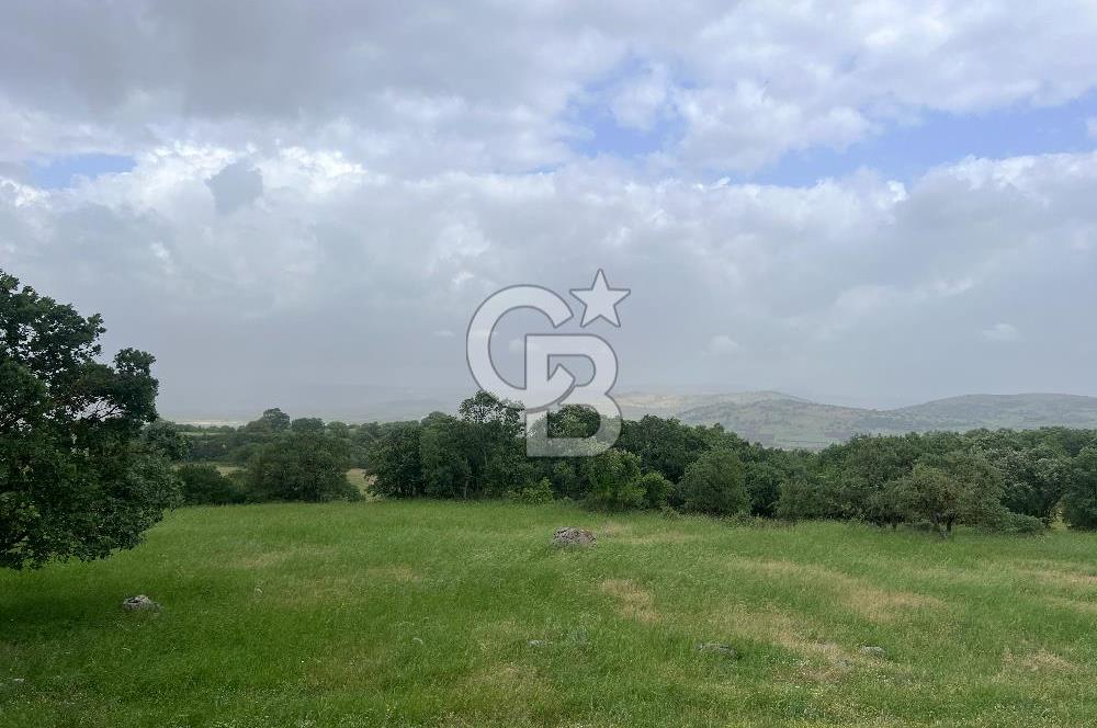 BALIKESİR İVRİNDİ GÖKÇEYAZI'DA HARİKA LOKASYONDA TARLA! 15.950m2
