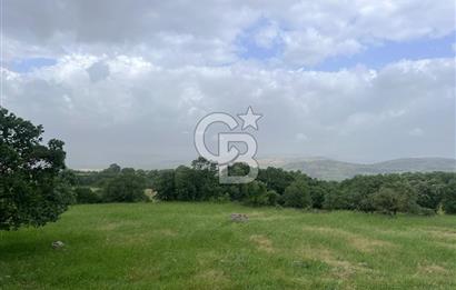 BALIKESİR İVRİNDİ GÖKÇEYAZI'DA HARİKA LOKASYONDA TARLA! 15.950m2