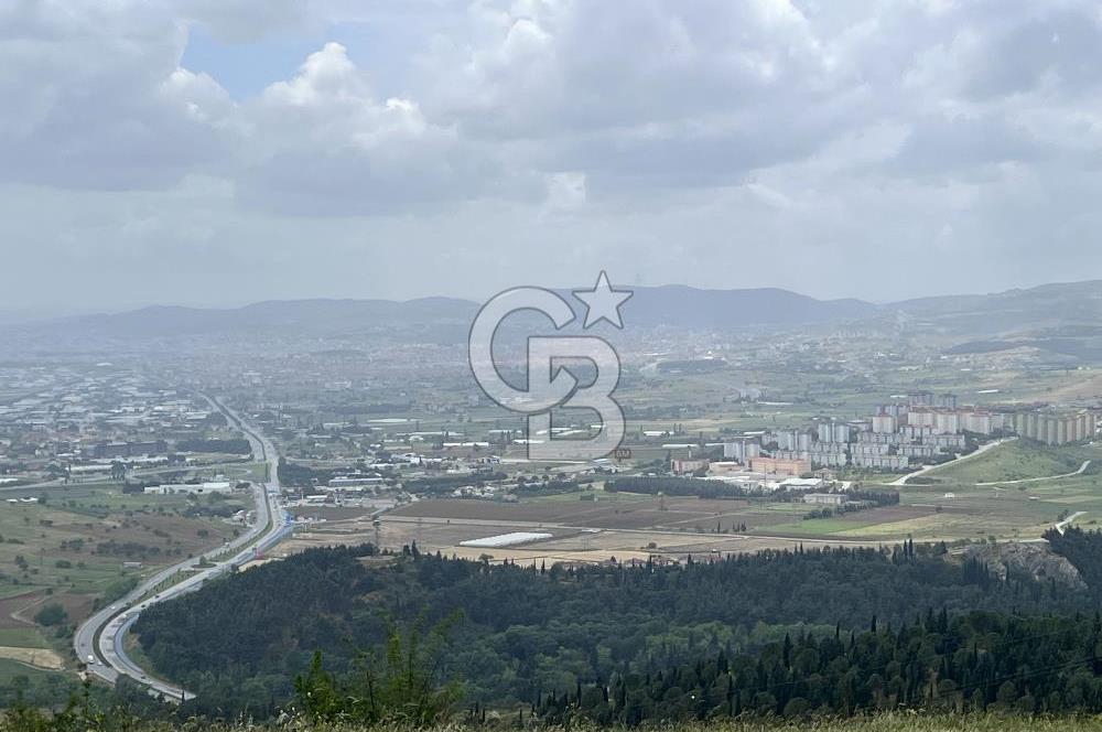 BALIKESİR ALTIEYLÜL AYVATLAR'DA MUHTEŞEM MANZARALI TARLA! 8563m2